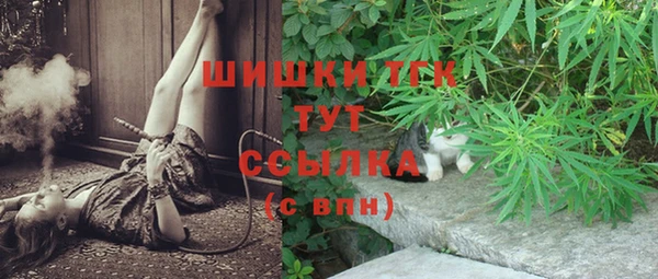 амф Белокуриха