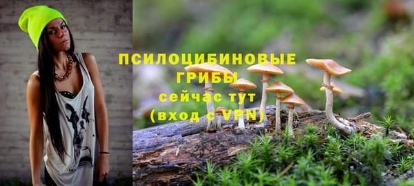 винт Белоозёрский