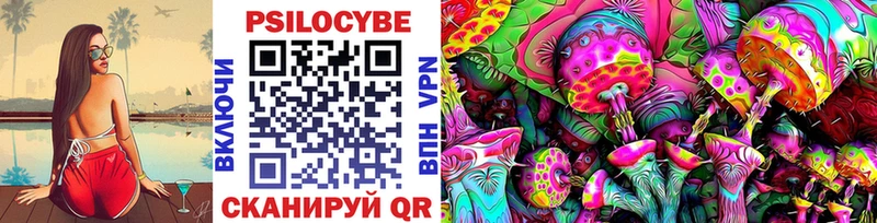 Псилоцибиновые грибы Psilocybine cubensis Бор