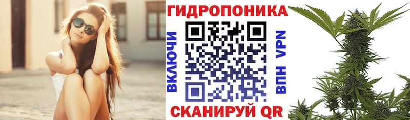 Конопля SATIVA & INDICA  Бор 